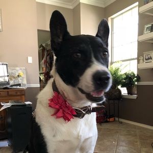 Meet your Posher, Kirsten